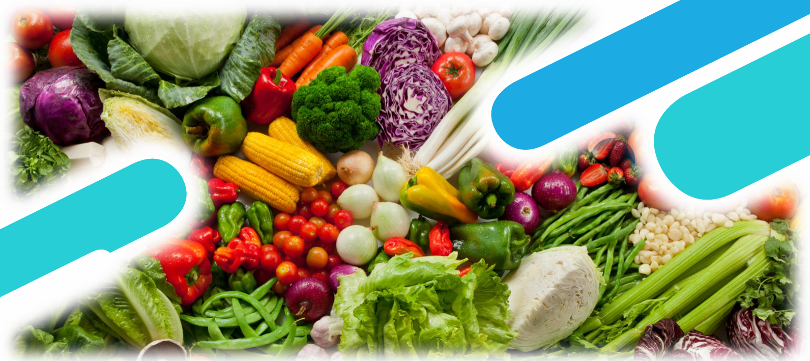 صورة عن رؤية الشركة